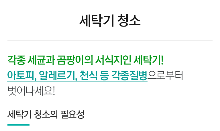 세탁기청소