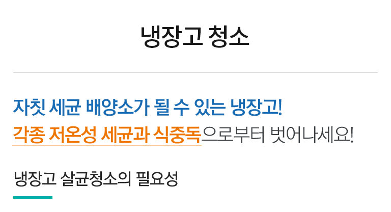 세탁기청소