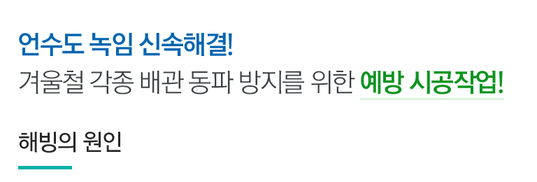 해빙의 원인